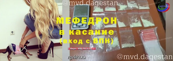 сатива Новозыбков