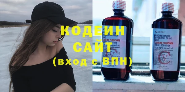 сатива Новозыбков