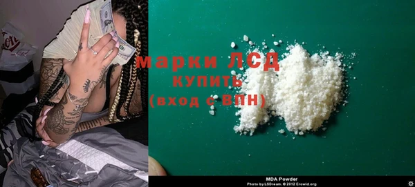 гидра Елабуга