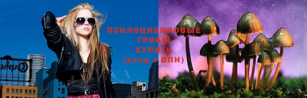 дурь Ельня
