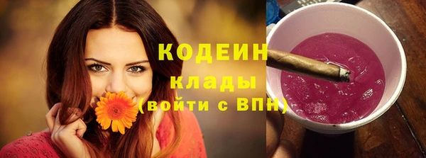 метадон Елизово