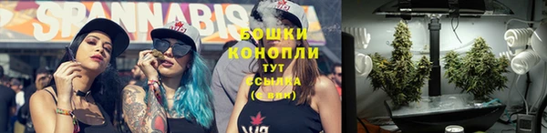 метадон Елизово