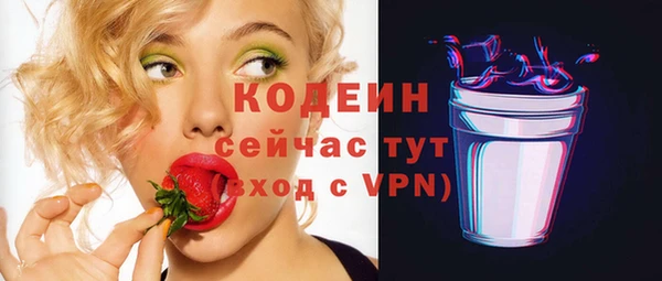 гидра Елабуга