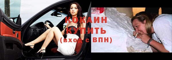 mdpv Новодвинск