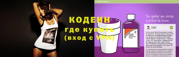 сатива Новозыбков