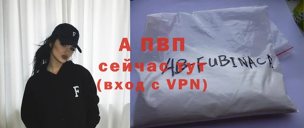 дурь Ельня