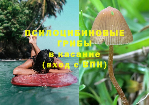 гидра Елабуга