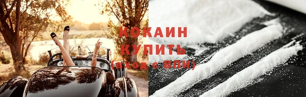гидра Елабуга