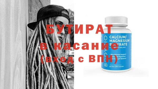 сатива Новозыбков