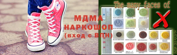 гидра Елабуга