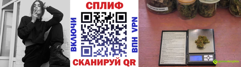 Шишки марихуана планчик Славск